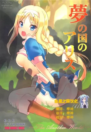 (C95) [RED RIBBON REVENGER (Makoushi)] Yume no Kuni no Alice ~The another world~ (Sword Art Online)[Chinese] [金星之国汉化]