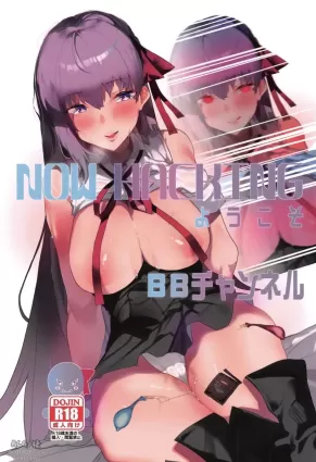 (C97) [Tsukimiya (Tsukimiya Tsutome)] NOW HACKING Youkoso BB Channel (Fate/Grand Order)