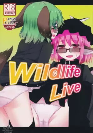 (Reitaisai 11) [Ramen Rice, Yoninisshou (Razy, Syamonabe)] Wildlife Live (Touhou Project)