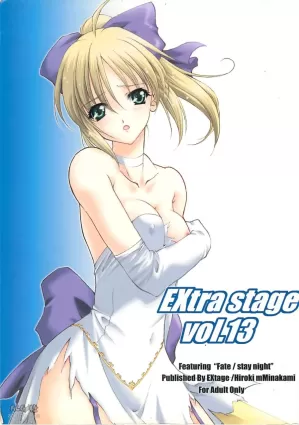 (CR35) [EXtage (Minakami Hiroki)] EXtra stage vol. 13 (Fate/stay night) [English] [desudesu]
