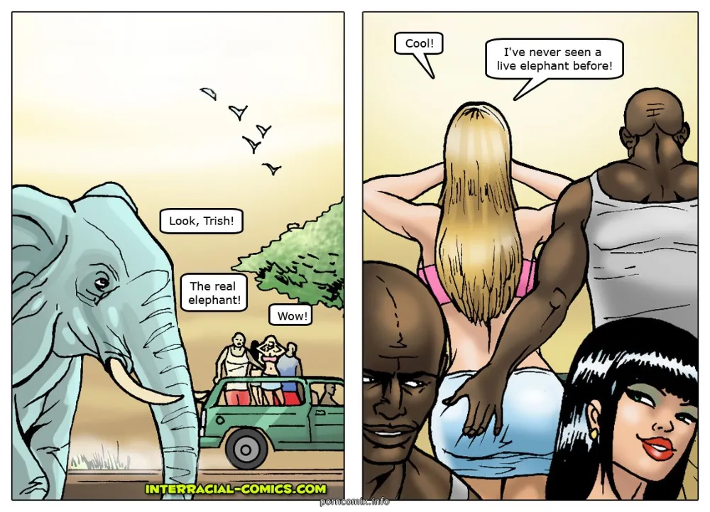 African Adventures- Interracial - Page 22
