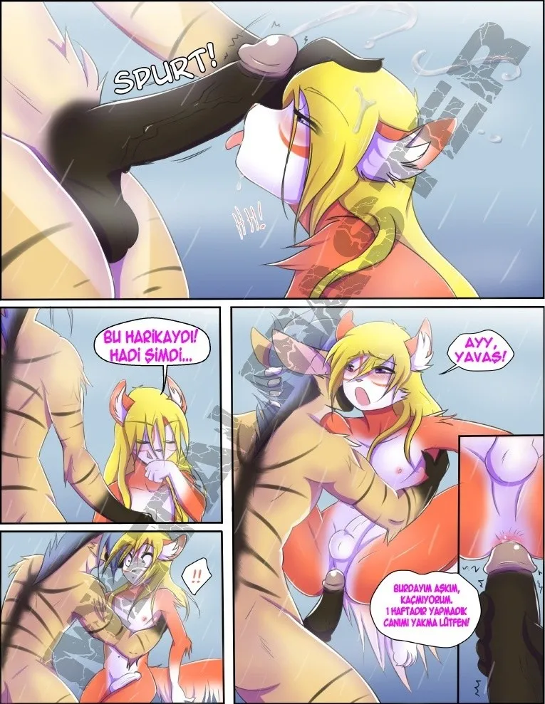 A Good Recovery (Whitephox, Steel,Tigerwolf)-Portuguese - Page 7
