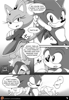 Sonic & Blaze - furry