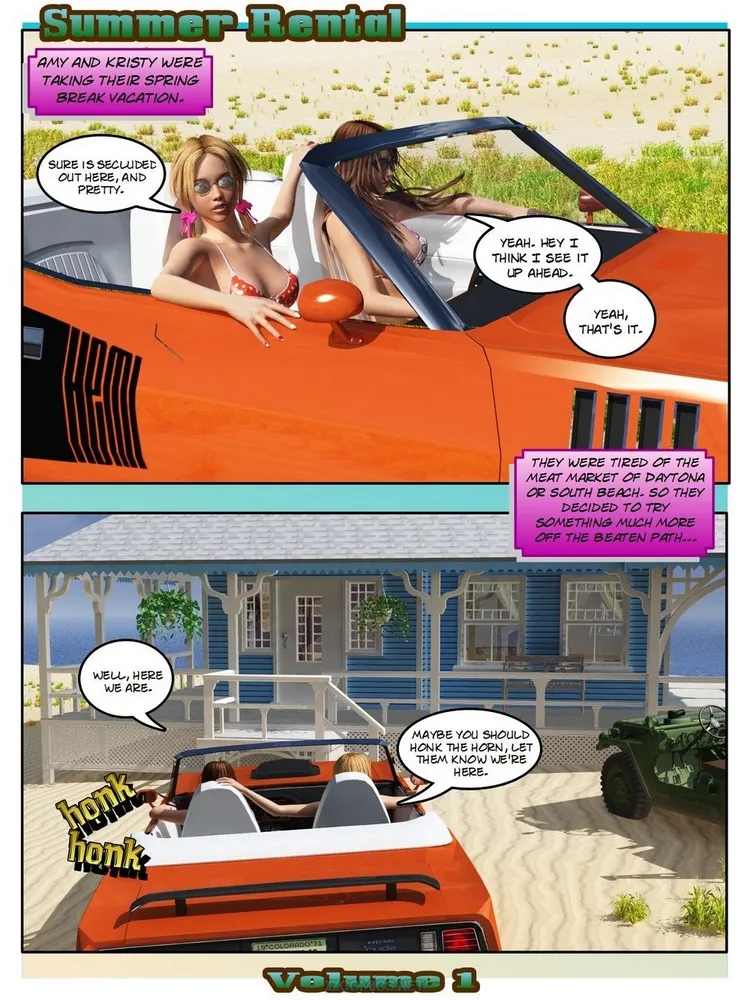 Summer Rental 1 - Page 1